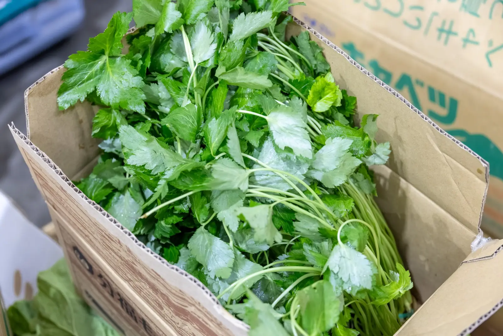 箱に入った香味野菜