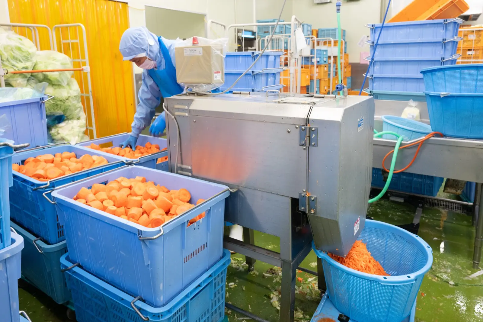 カット野菜の加工ライン。人参のスライサーと青いコンテナ